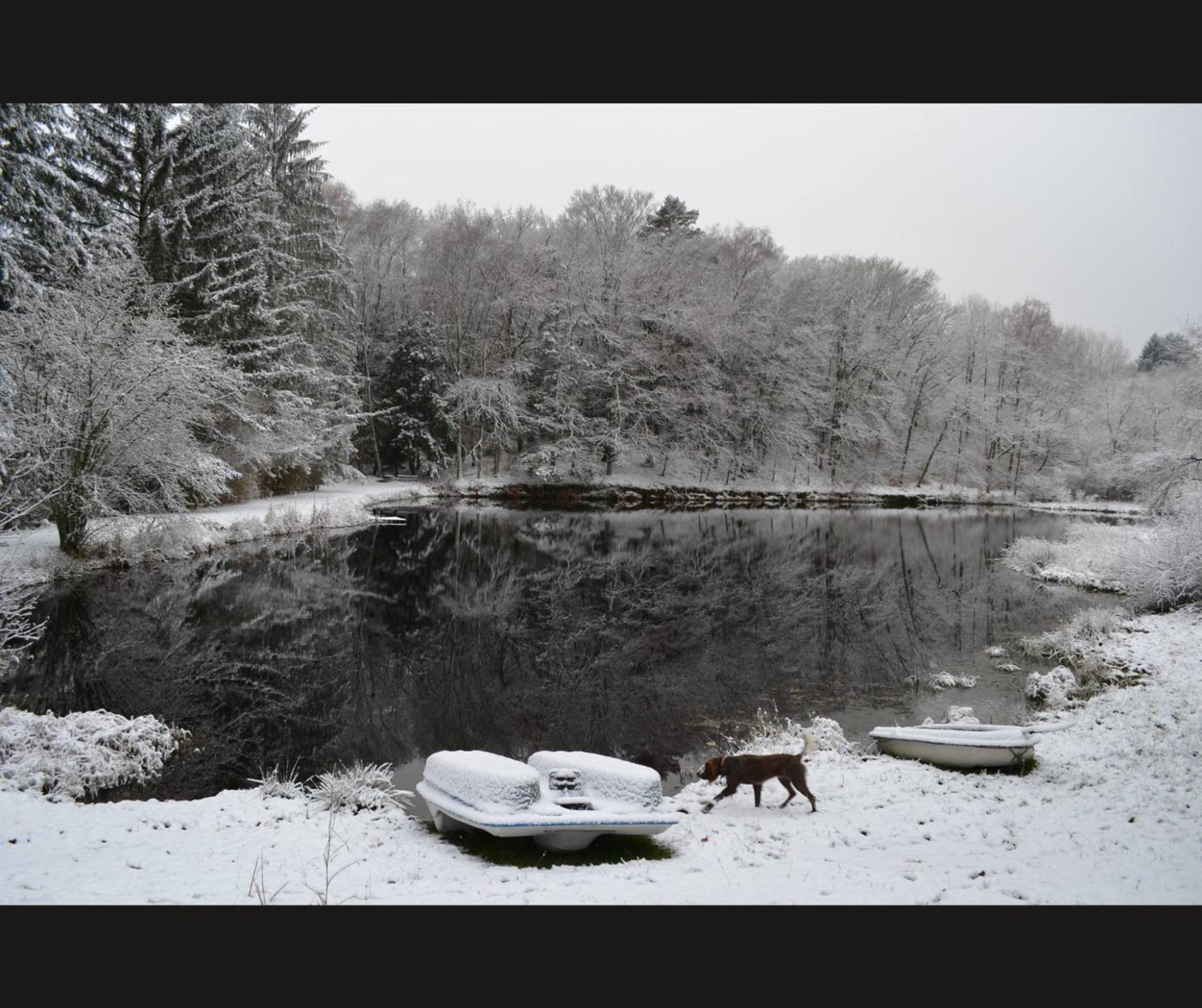 Cabane Limousine Au Bord D'Un Etang Bonnac-la-Côte Exterior foto